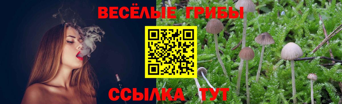 Похвистнево  как найти   Псилоцибиновые грибы Magic Shrooms  Вход с VPN  Псилоцибиновые грибы мицелий 