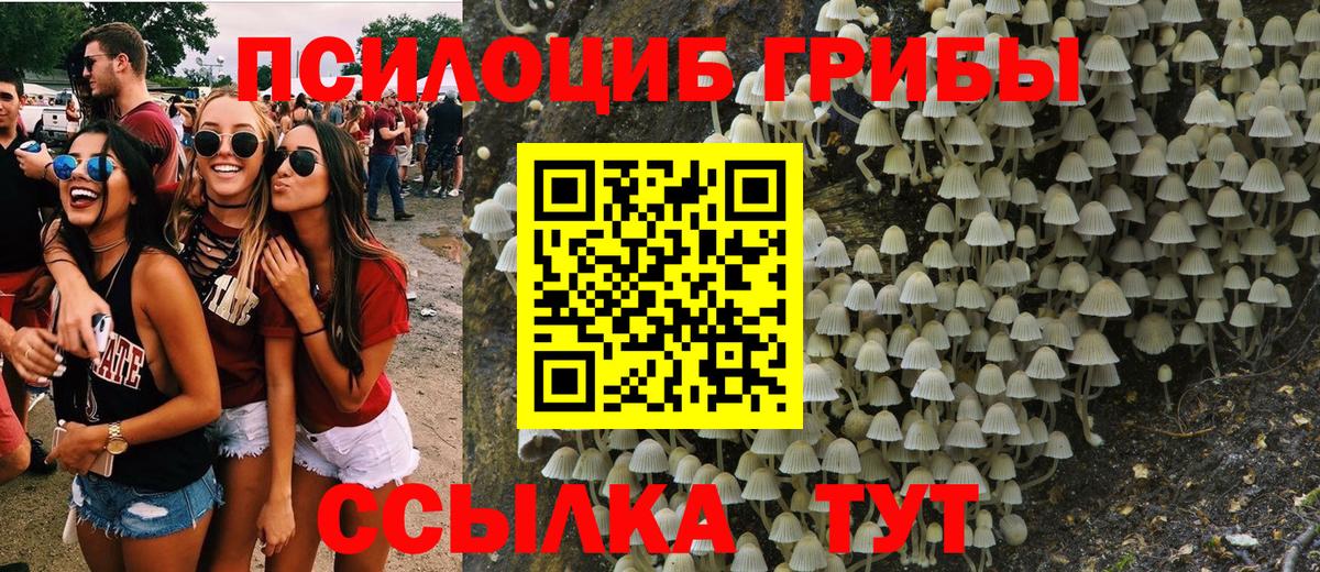 Псилоцибиновые грибы прущие грибы Похвистнево